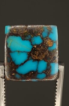Turquoise Neyshabur Gemstone
